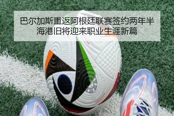 巴尔加斯重返阿根廷联赛签约两年半 海港旧将迎来职业生涯新篇 | kaiyun